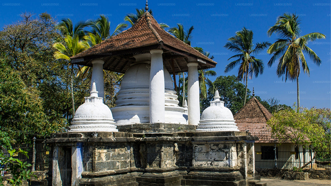 Tour di Temple Run da Kandy