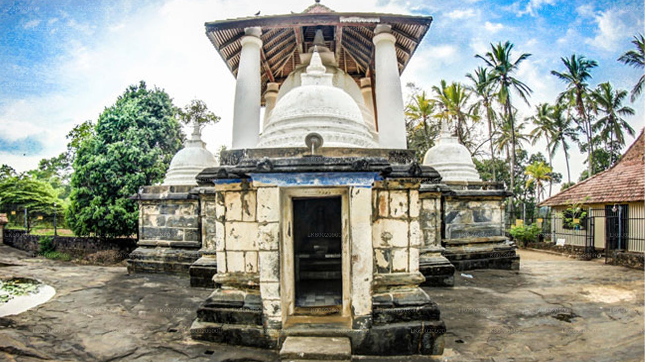 Tour di Temple Run da Kandy
