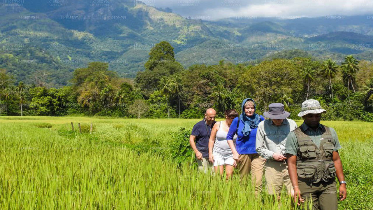 Hiriwadunna Village Tour from Habarana