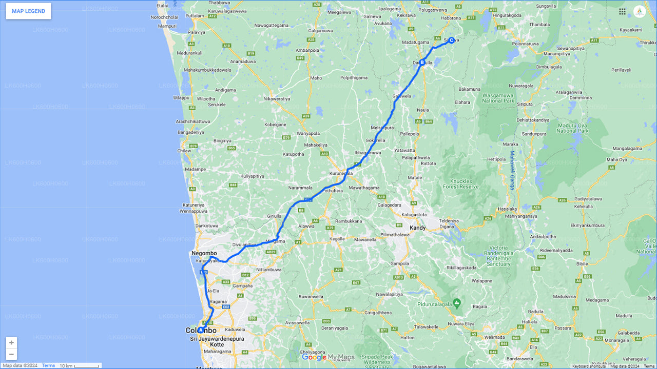 Sigiriya, Dambulla and Village Tour from Colombo