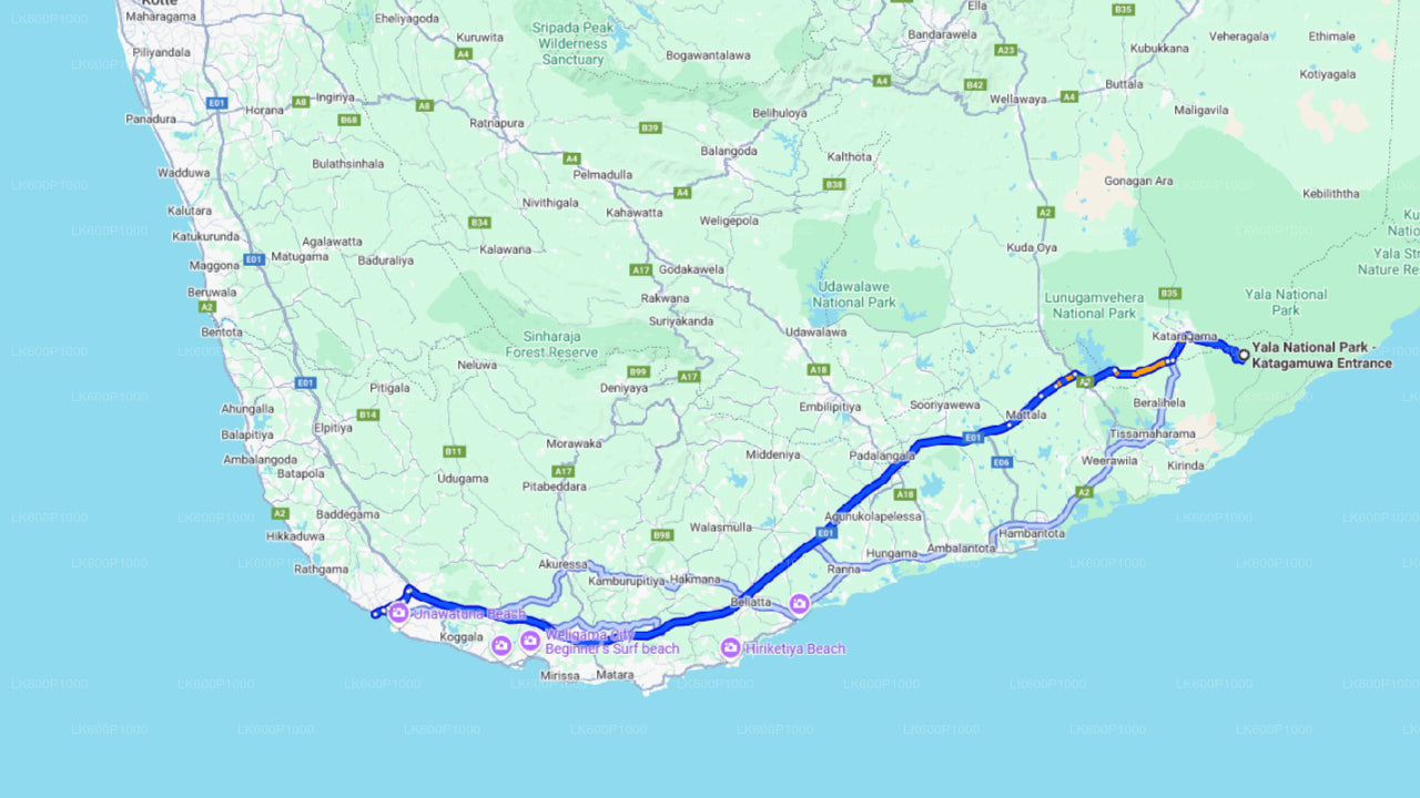 Yala National Park Safari from Galle