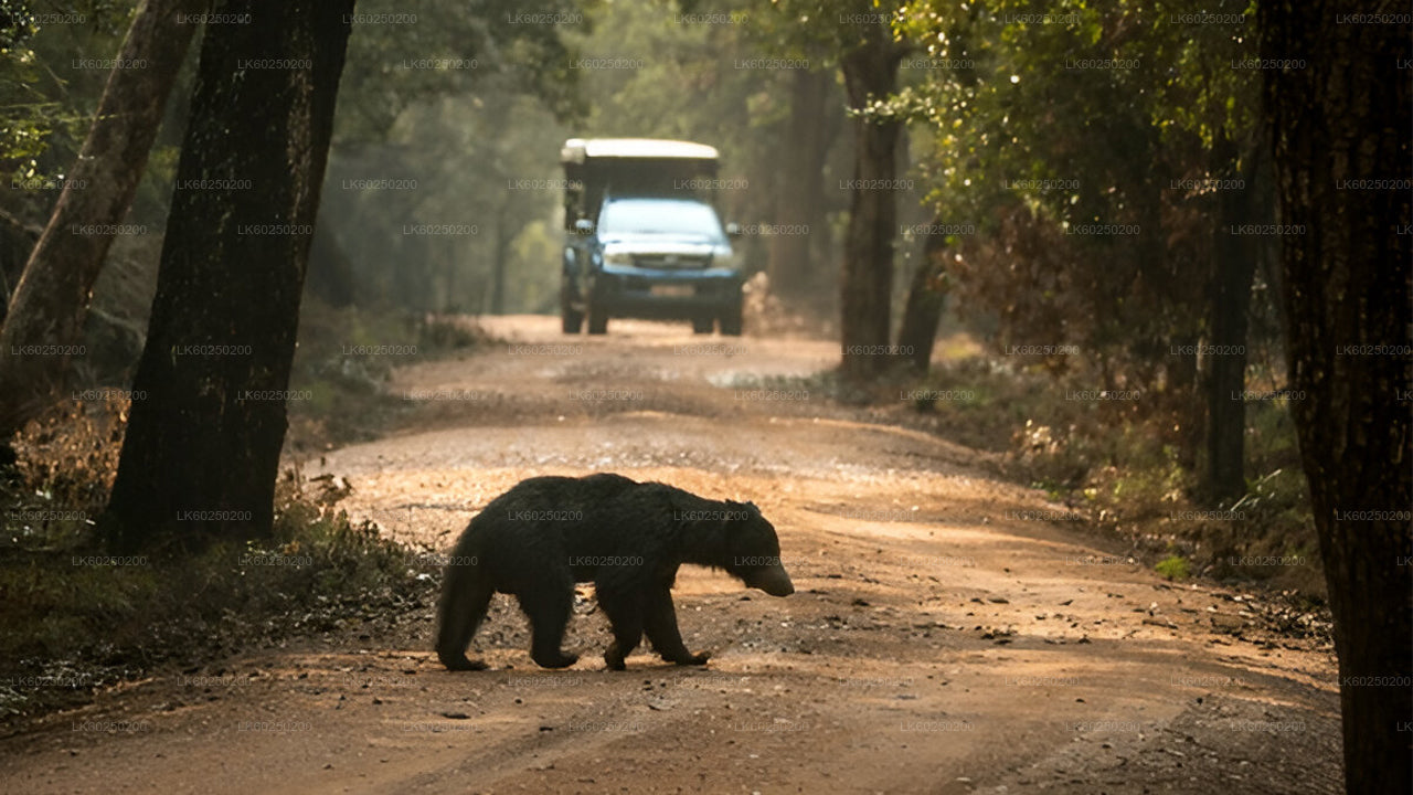 Safari nel Parco Nazionale Yala da Unawatuna