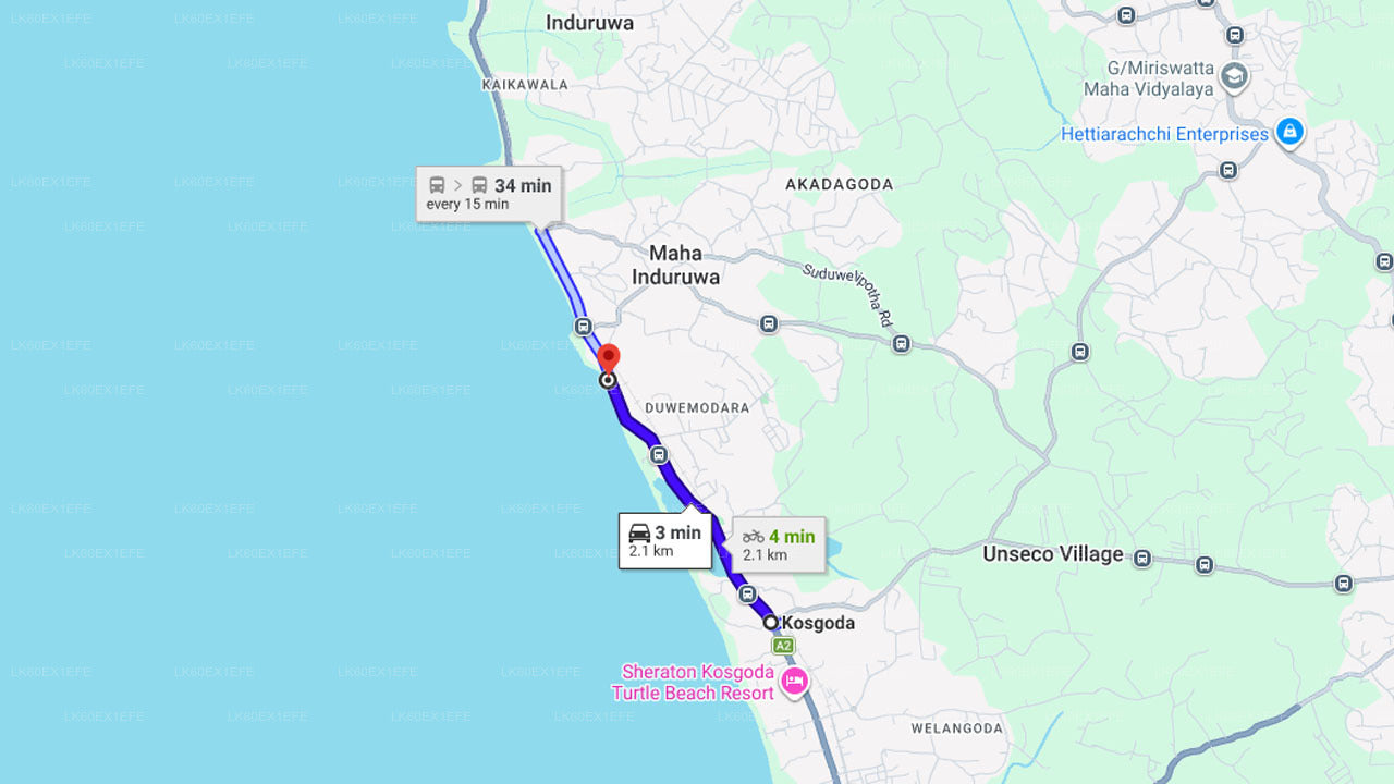 Rilascio di una tartaruga neonata da Kosgoda