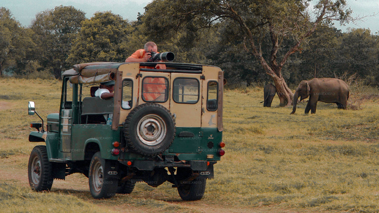 Private Tour from Mirissa to Ella with Udawalawe Safari