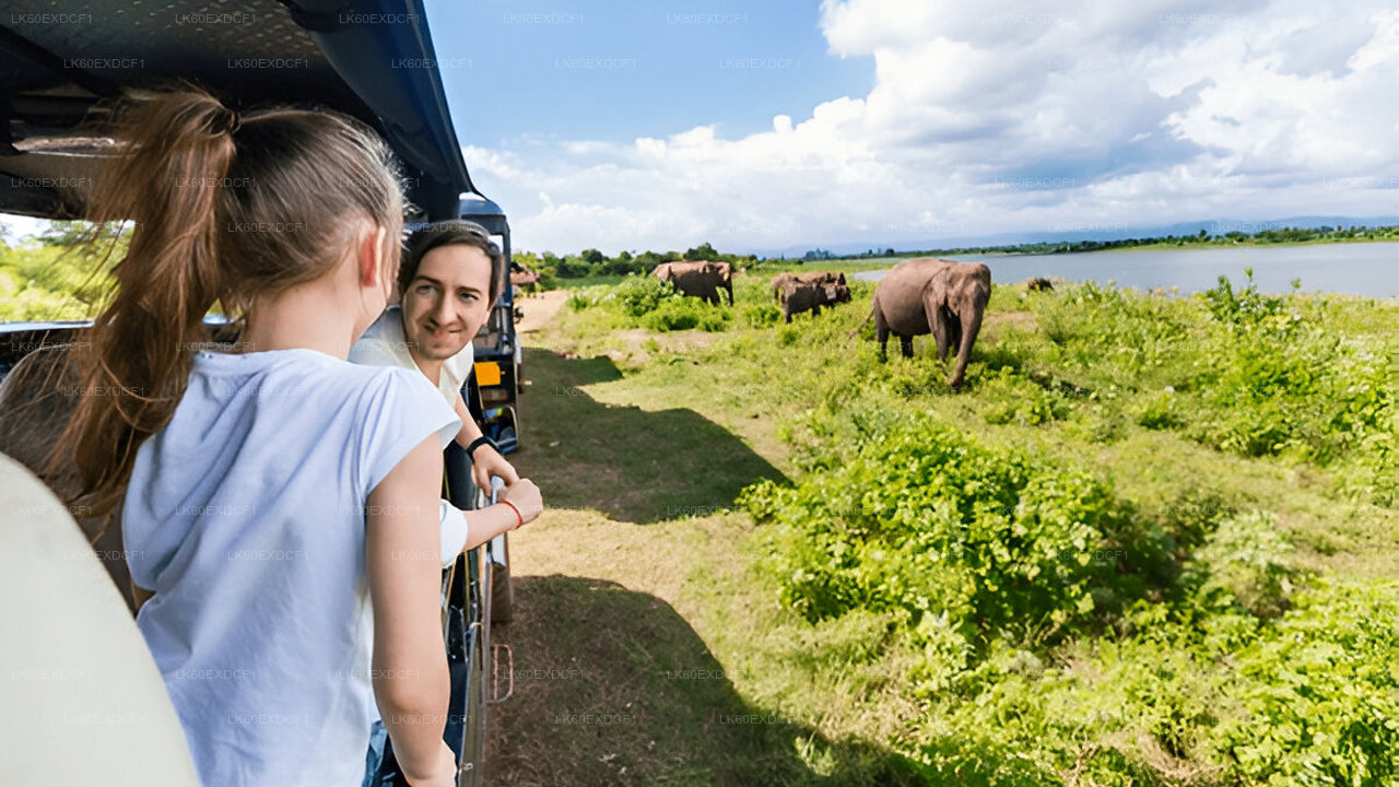 Private Tour from Ella to Mirissa with Udawalawe Safari