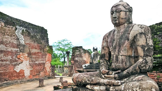 Trasferimento privato da Sigiriya a Pasikudah con tour della città antica di Polonnaruwa