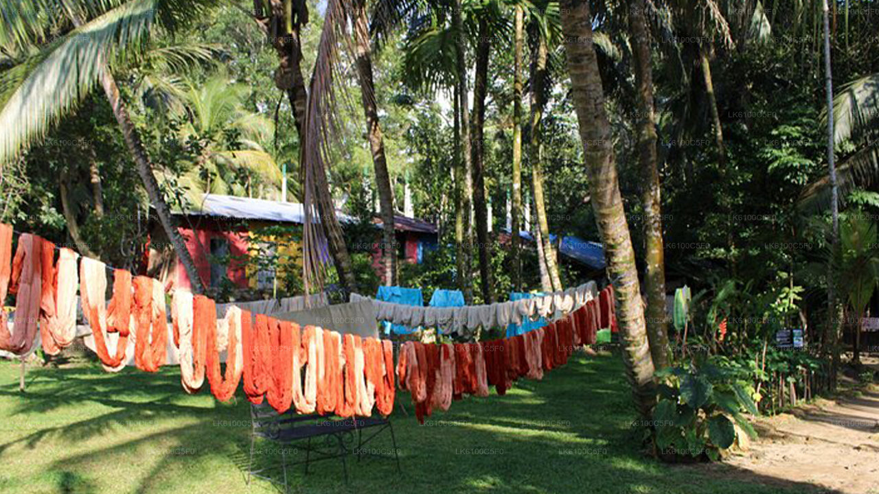 Explore Galle's hidden gems & Dine with Locals