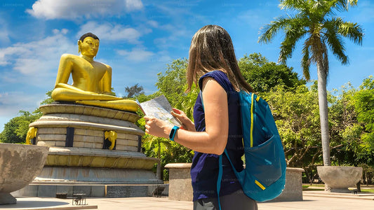 Tour della città di Colombo dal porto di Colombo