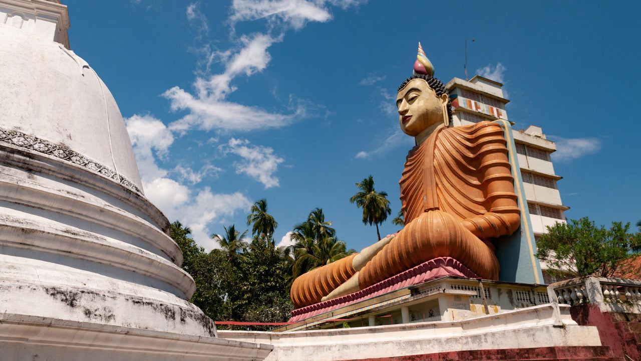 Hidden Temples and Secluded Coastlines from Galle City