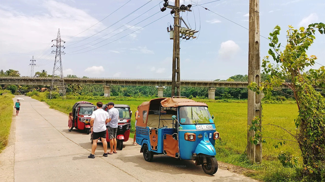 Safari in tuk tuk sulla costa meridionale da Galle