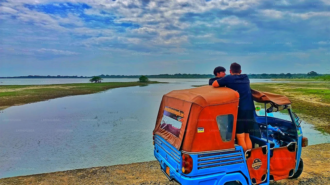 Safari in tuk tuk sulla costa meridionale da Galle
