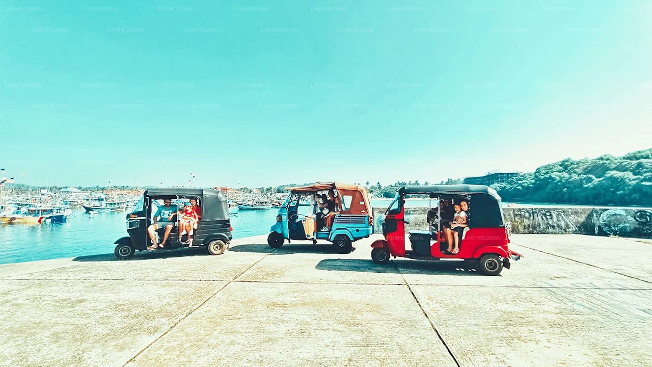 Safari in tuk tuk sulla costa meridionale da Galle