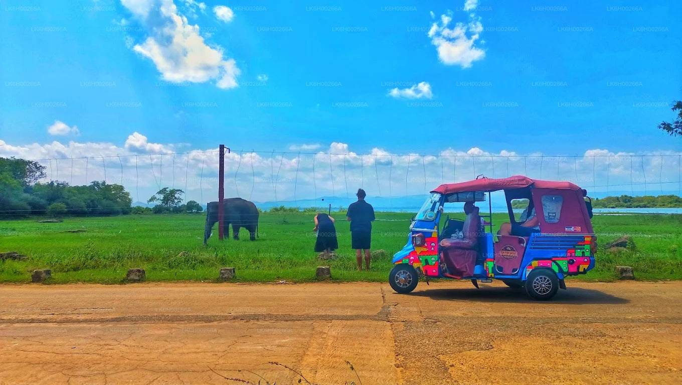Safari in tuk tuk sulla costa meridionale da Galle