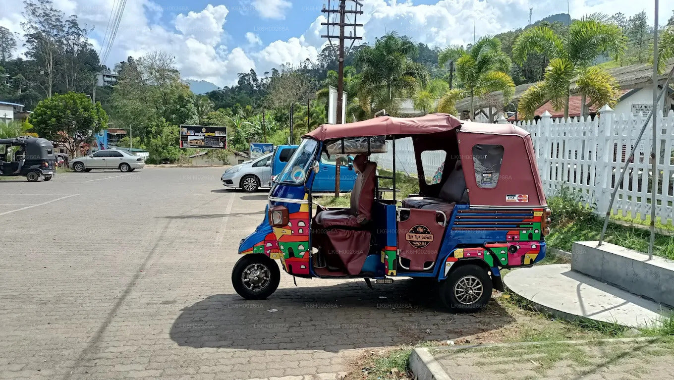 Safari in tuk tuk sulla costa meridionale da Galle