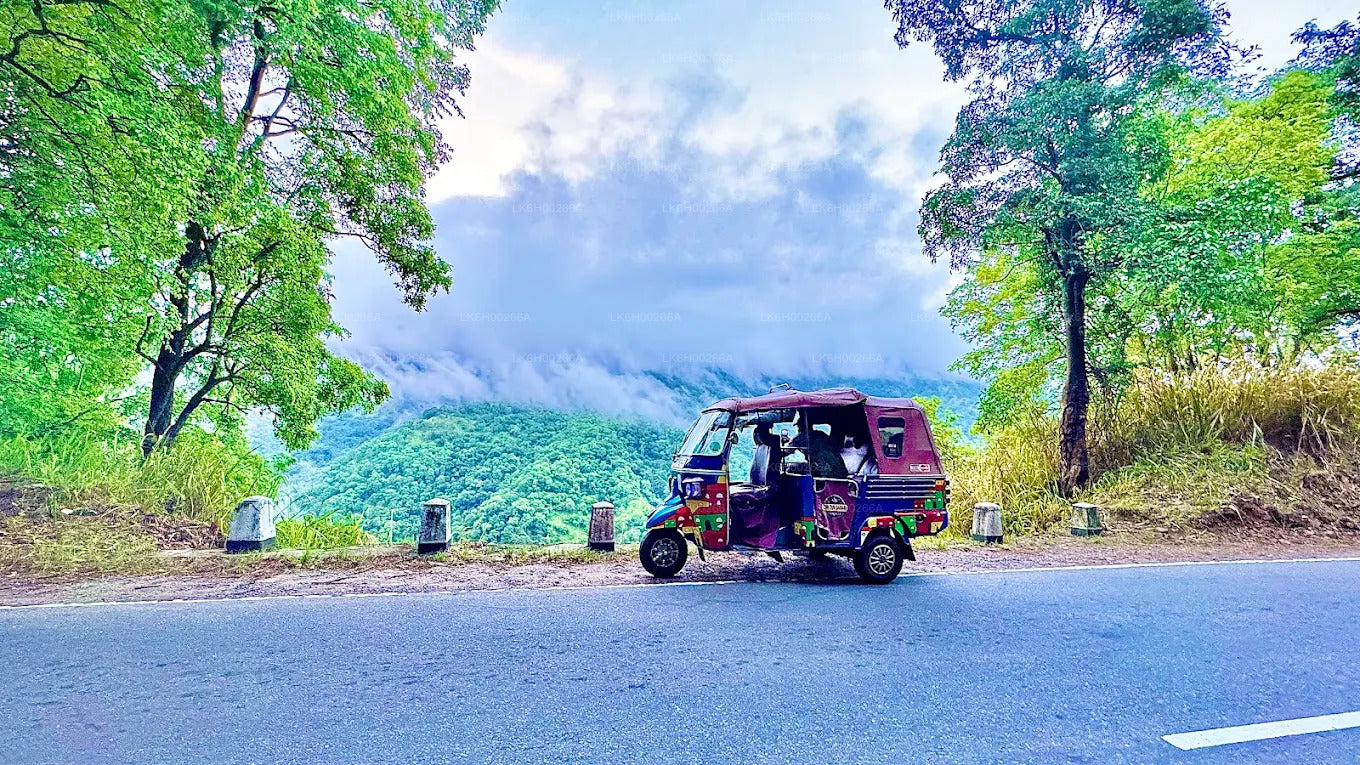 Safari in tuk tuk sulla costa meridionale da Galle
