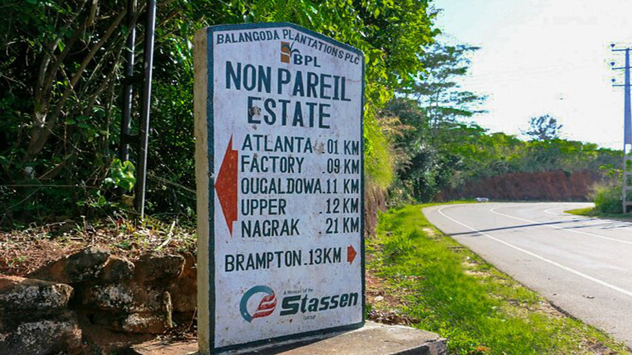 Escursioni sul sentiero Nonpareil