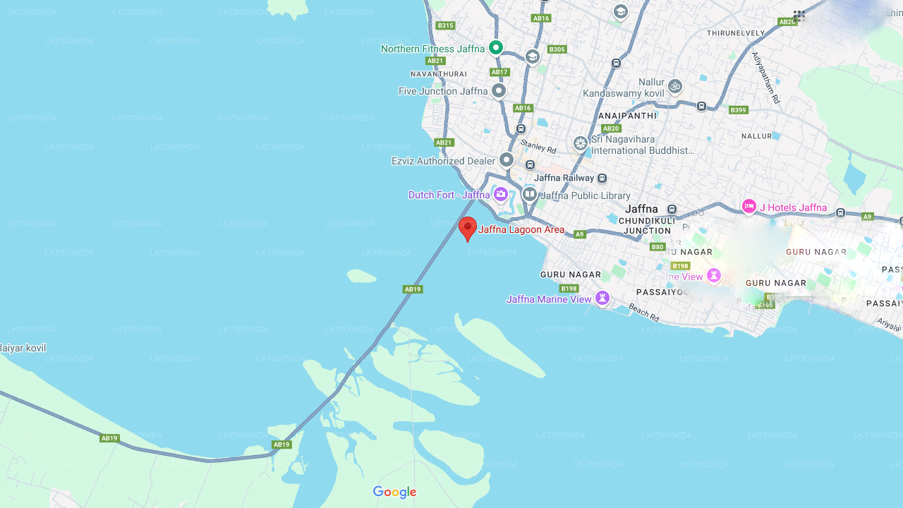 Birdwatching from Jaffna Lagoon