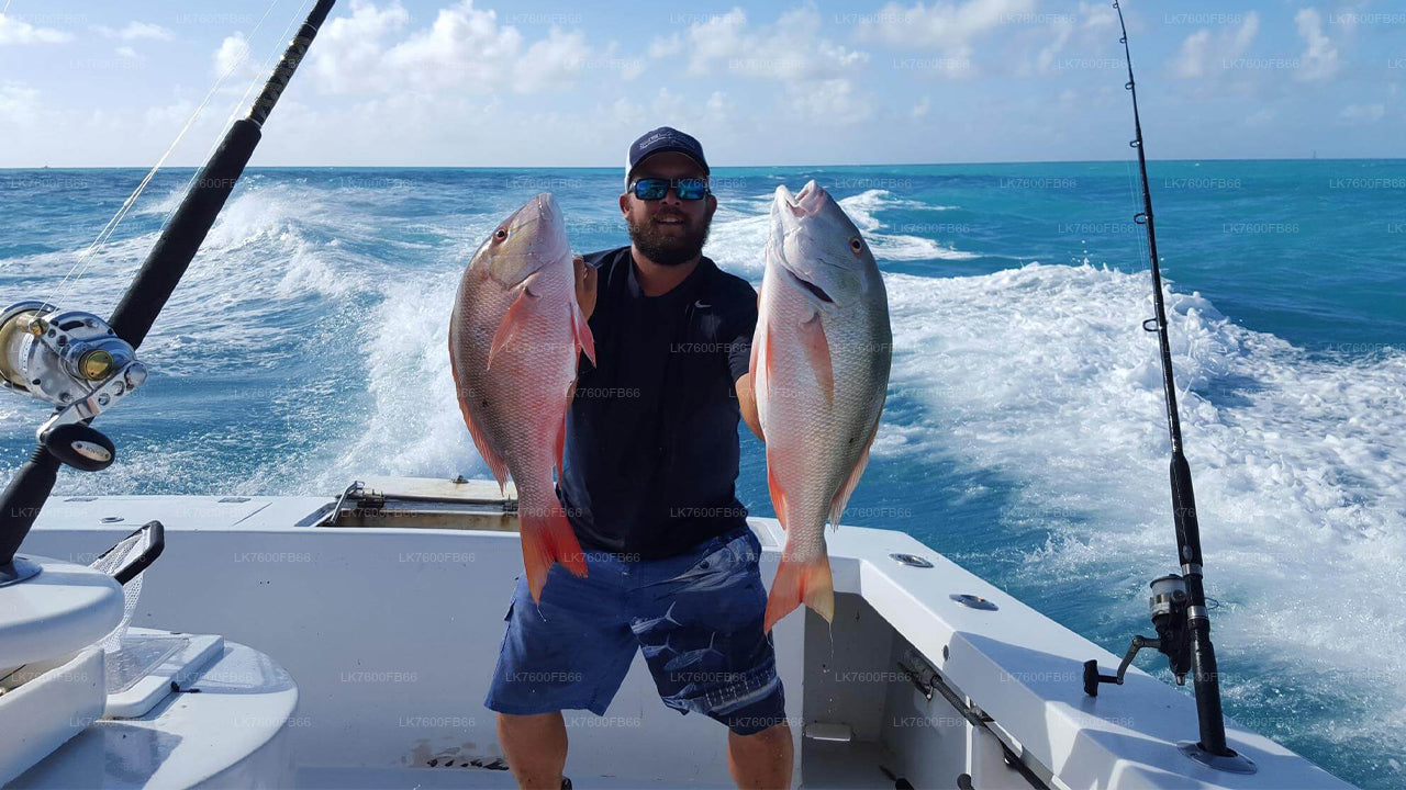 Tour di pesca da Galle