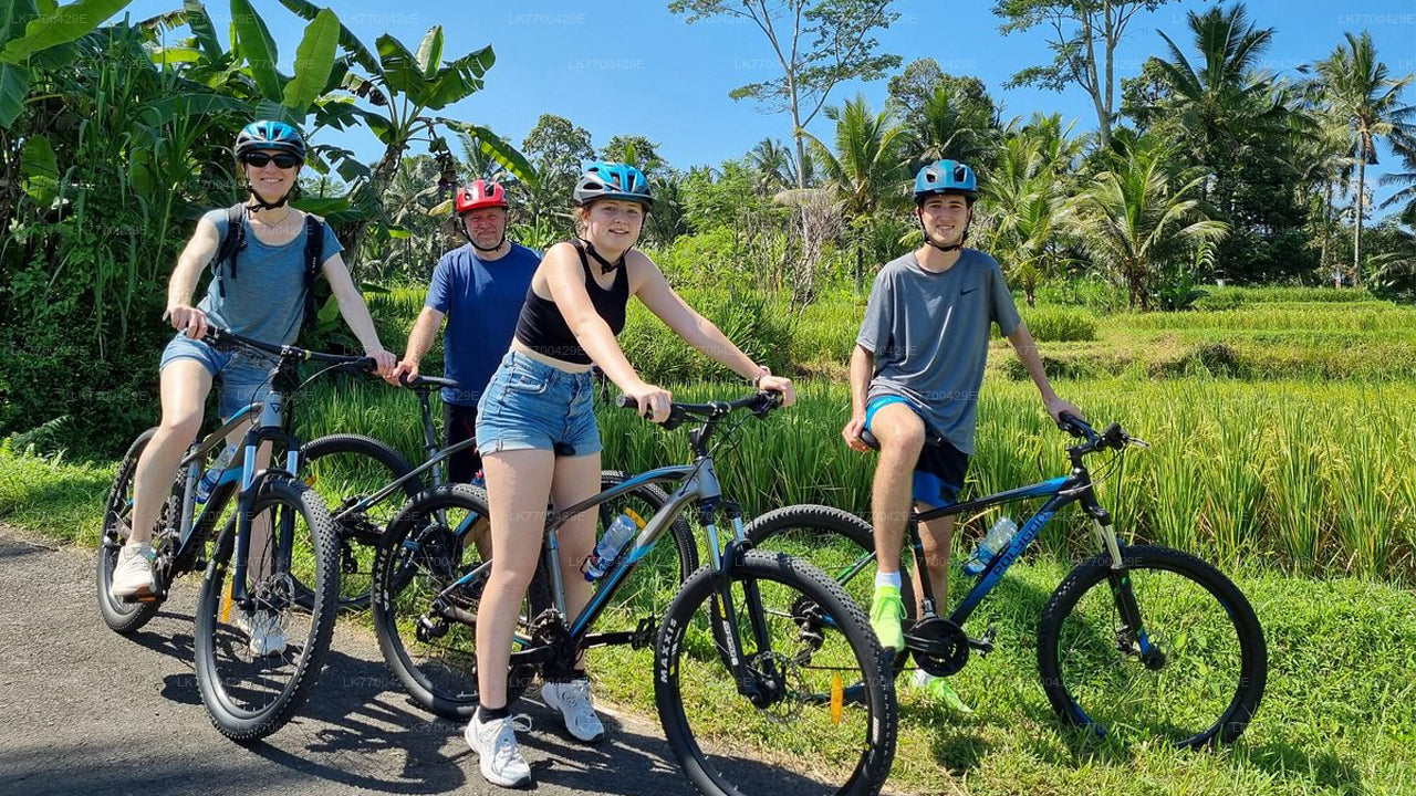 Colombo Countryside Cycling Tour