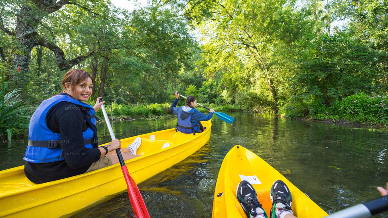 Lagoon Canoeing Tour From Galle