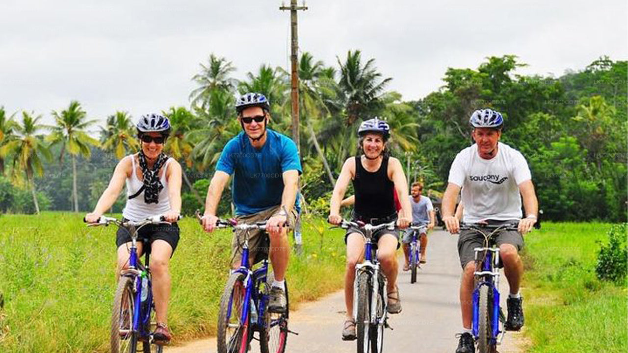 Cycling in Galle Countryside