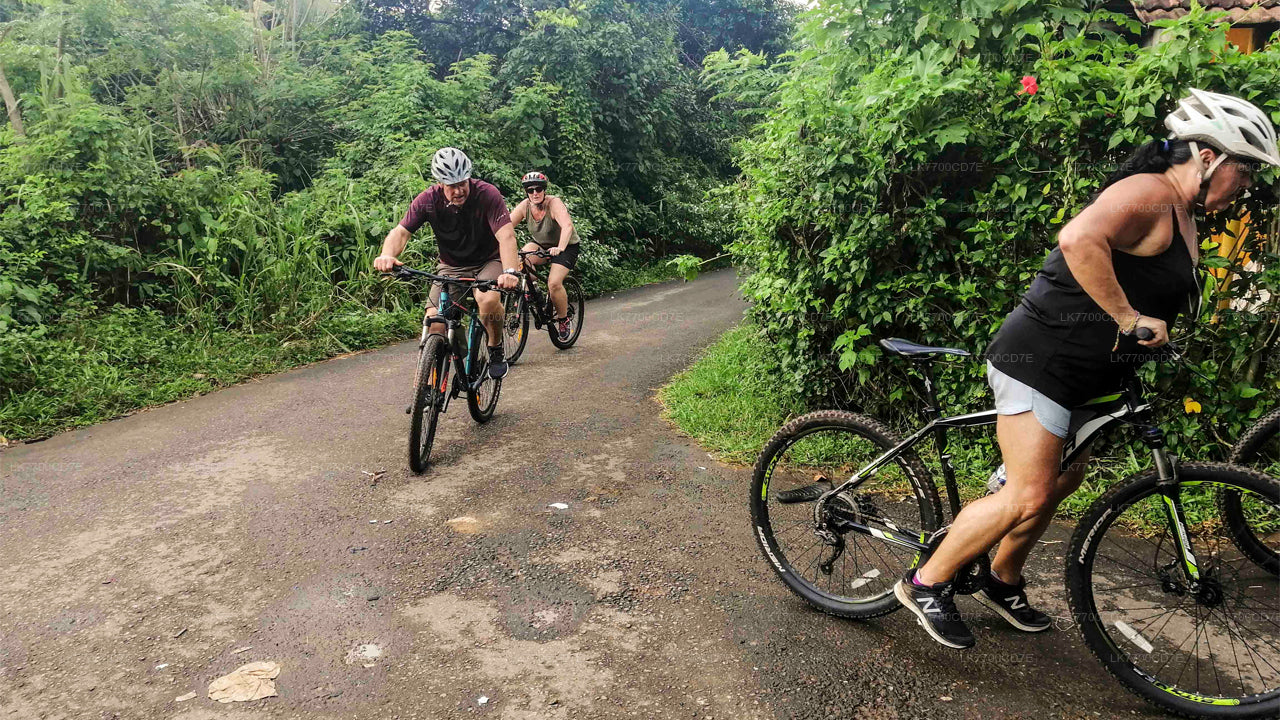 Divertente giro in bicicletta per famiglie da Galle