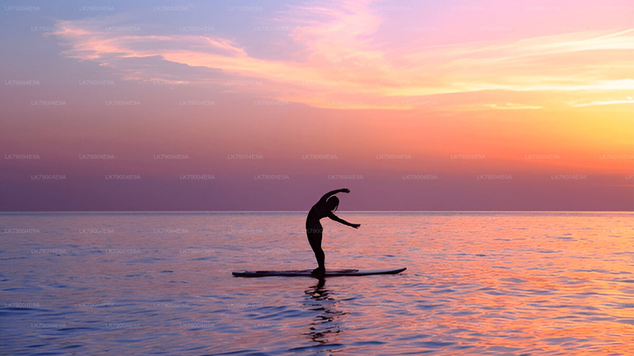 3 hour Shared Sunset Cruise from Galle