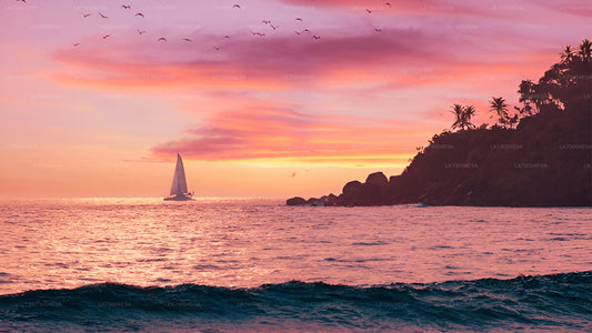 3 hour Shared Sunset Cruise from Galle