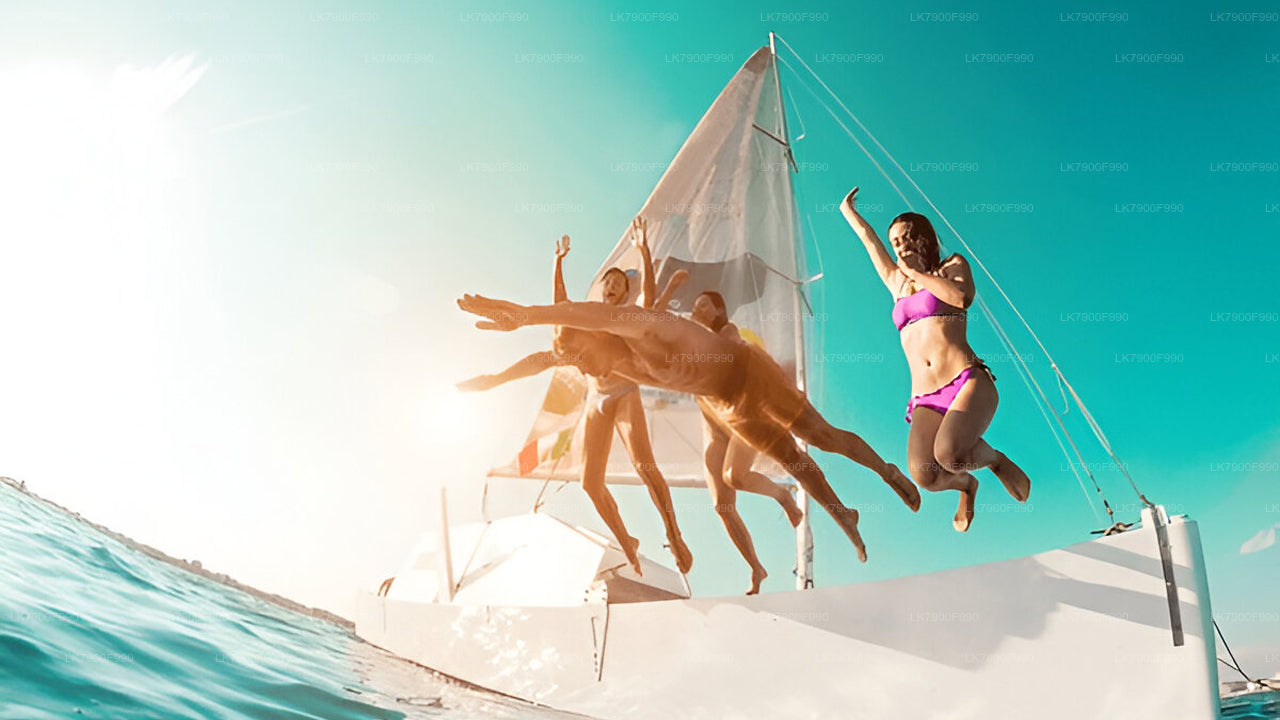 7 Hour whale watching cruise from Trincomalee