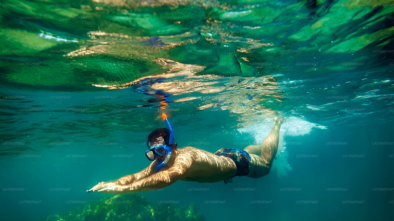 3-hour Private Sunset Cruise from Mirissa