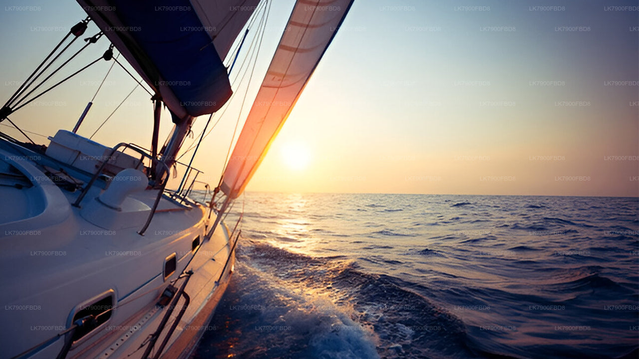 6 Night Cruise Vacation in Mirissa