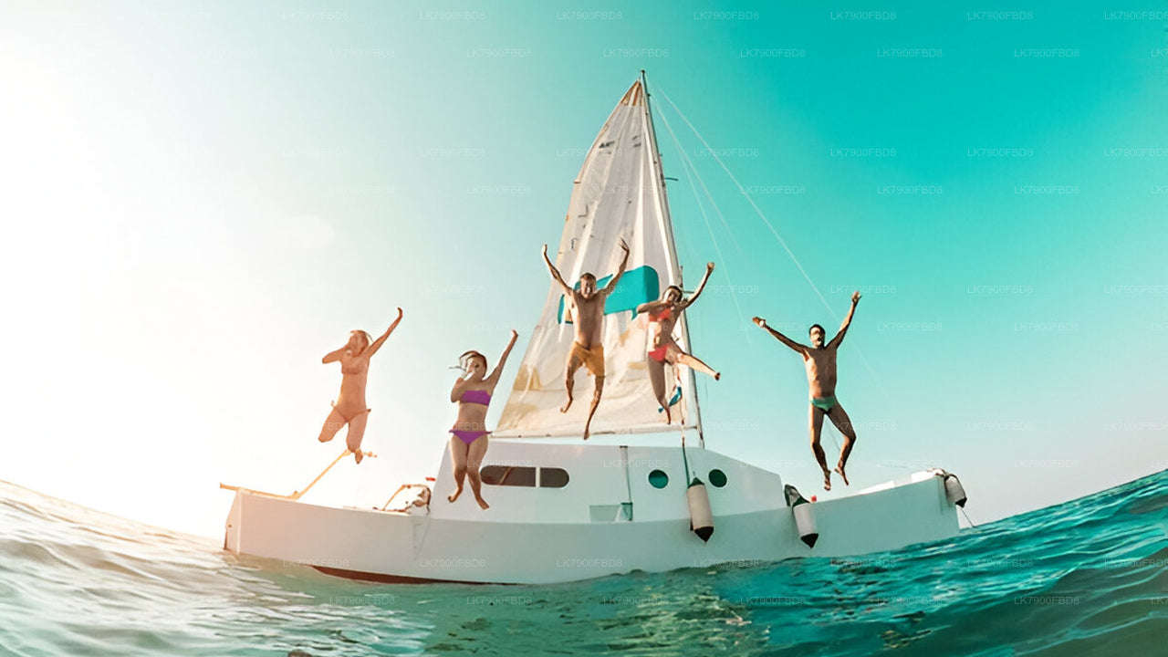 6 Night Cruise Vacation in Mirissa