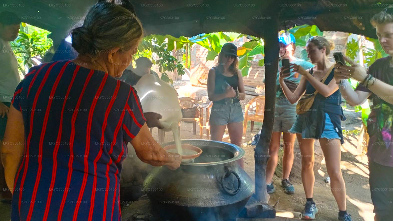 Curd Processing Experience from Tissamaharama