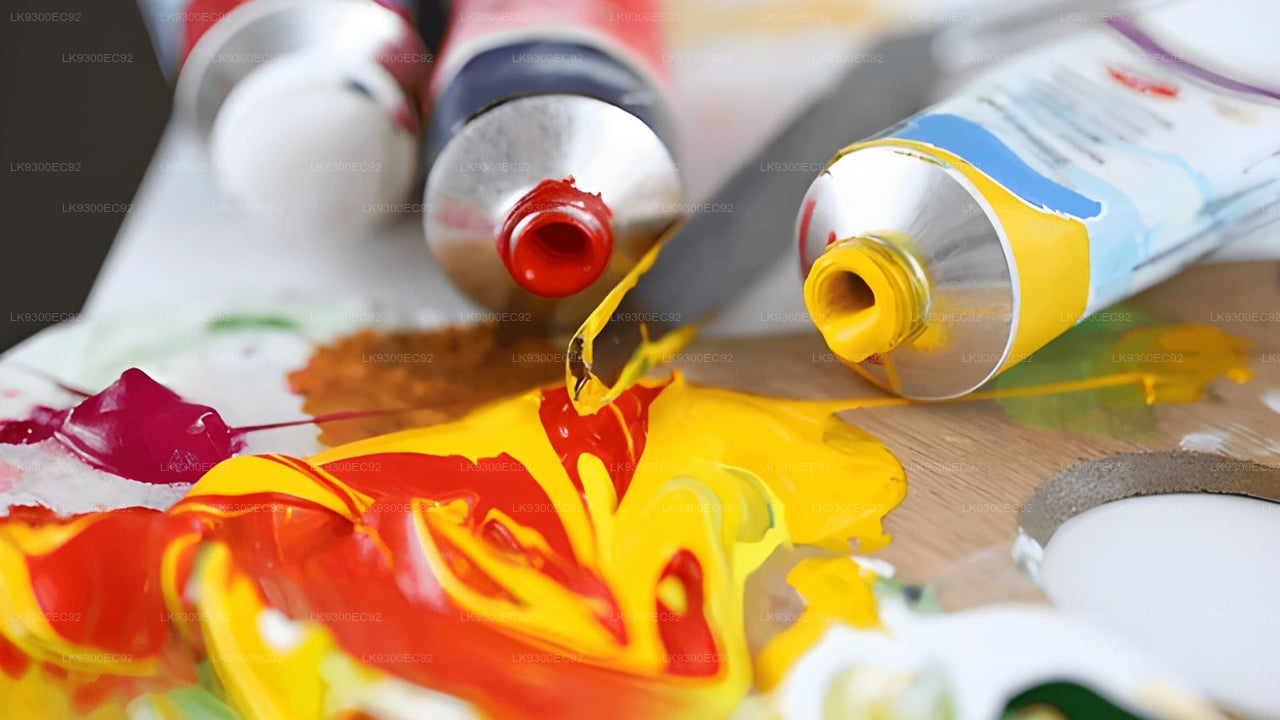 Esperienza di pittura e narrazione di storie con gli elefanti ad Ahangama