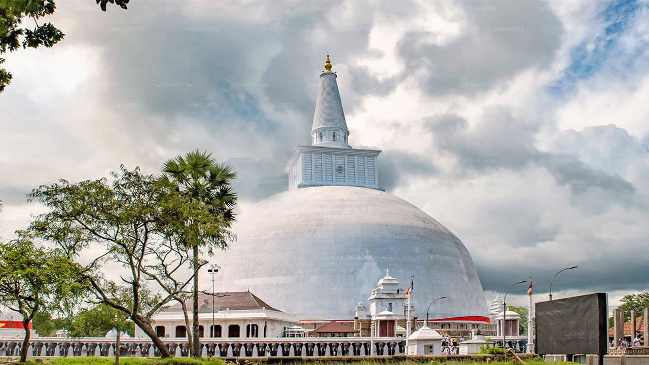 Città sacra di Anuradhapura da Colombo