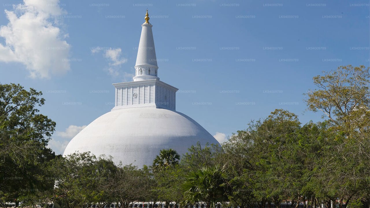 Città sacra di Anuradhapura da Colombo