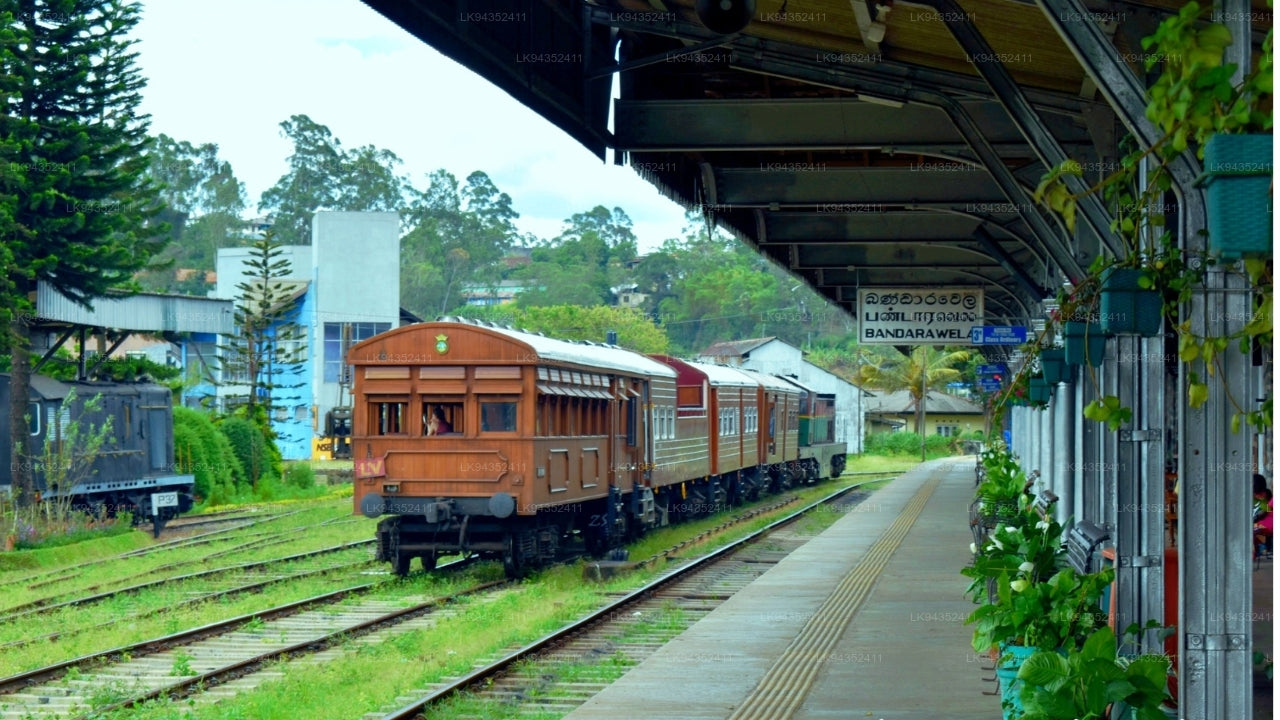 Calypso Tourist Train Ride