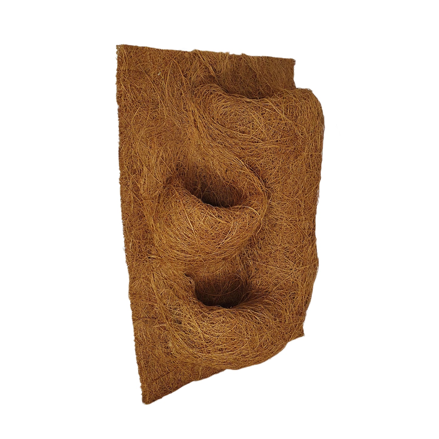 Sfondo naturale per piantagione di cocco Bivenro (20 cm x 30 cm)