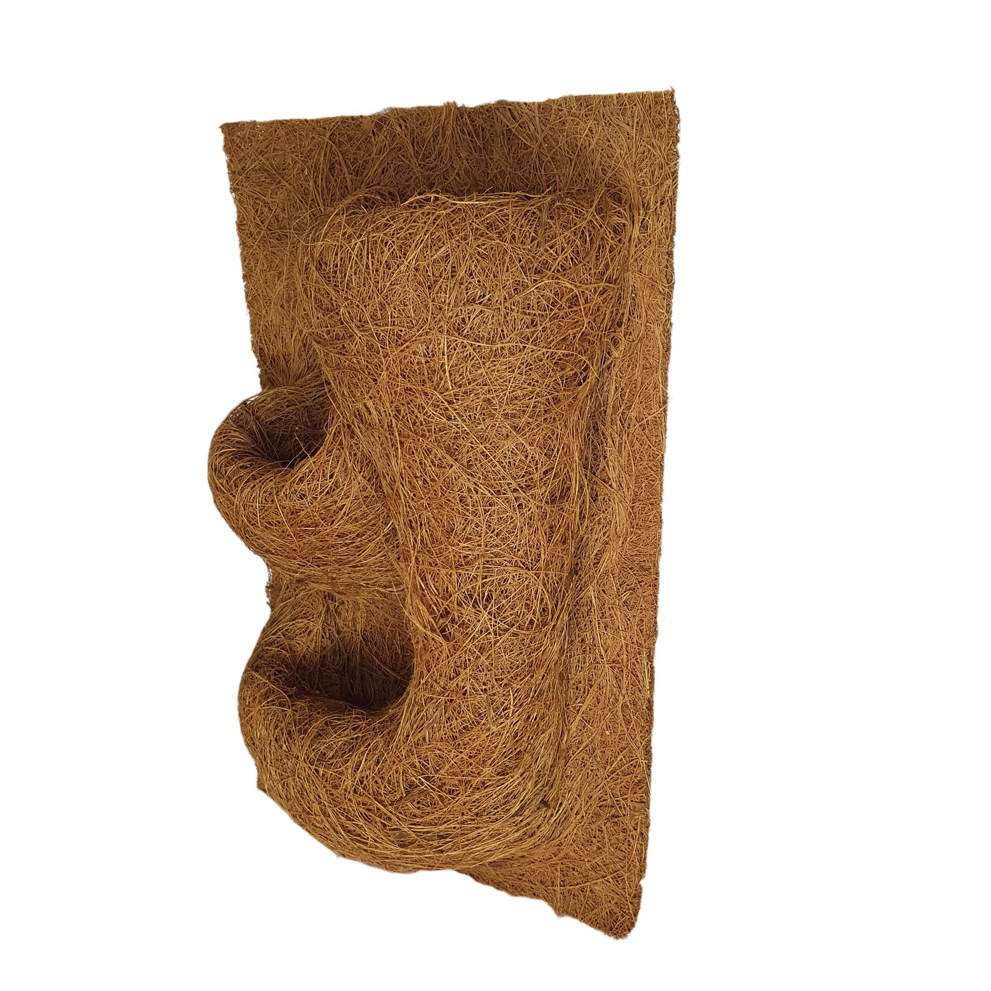 Sfondo naturale per piantagione di cocco Bivenro (20 cm x 30 cm)