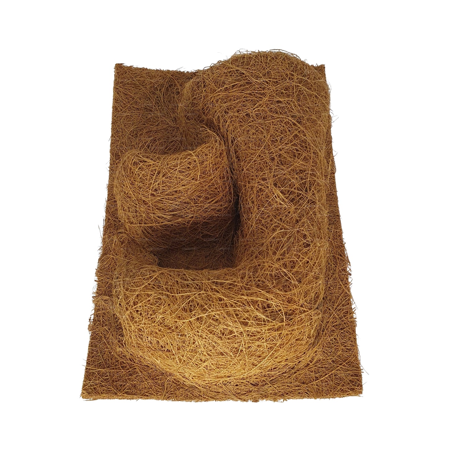 Sfondo naturale per piantagione di cocco Bivenro (20 cm x 30 cm)