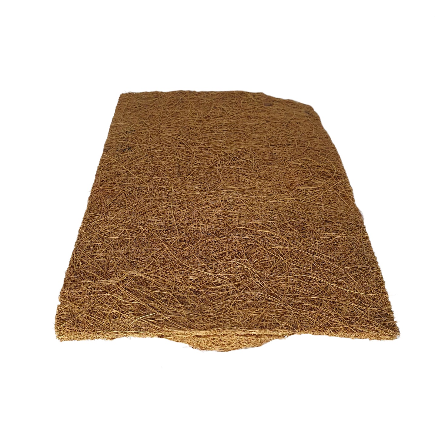 Sfondo naturale per piantagione di cocco Bivenro (20 cm x 30 cm)