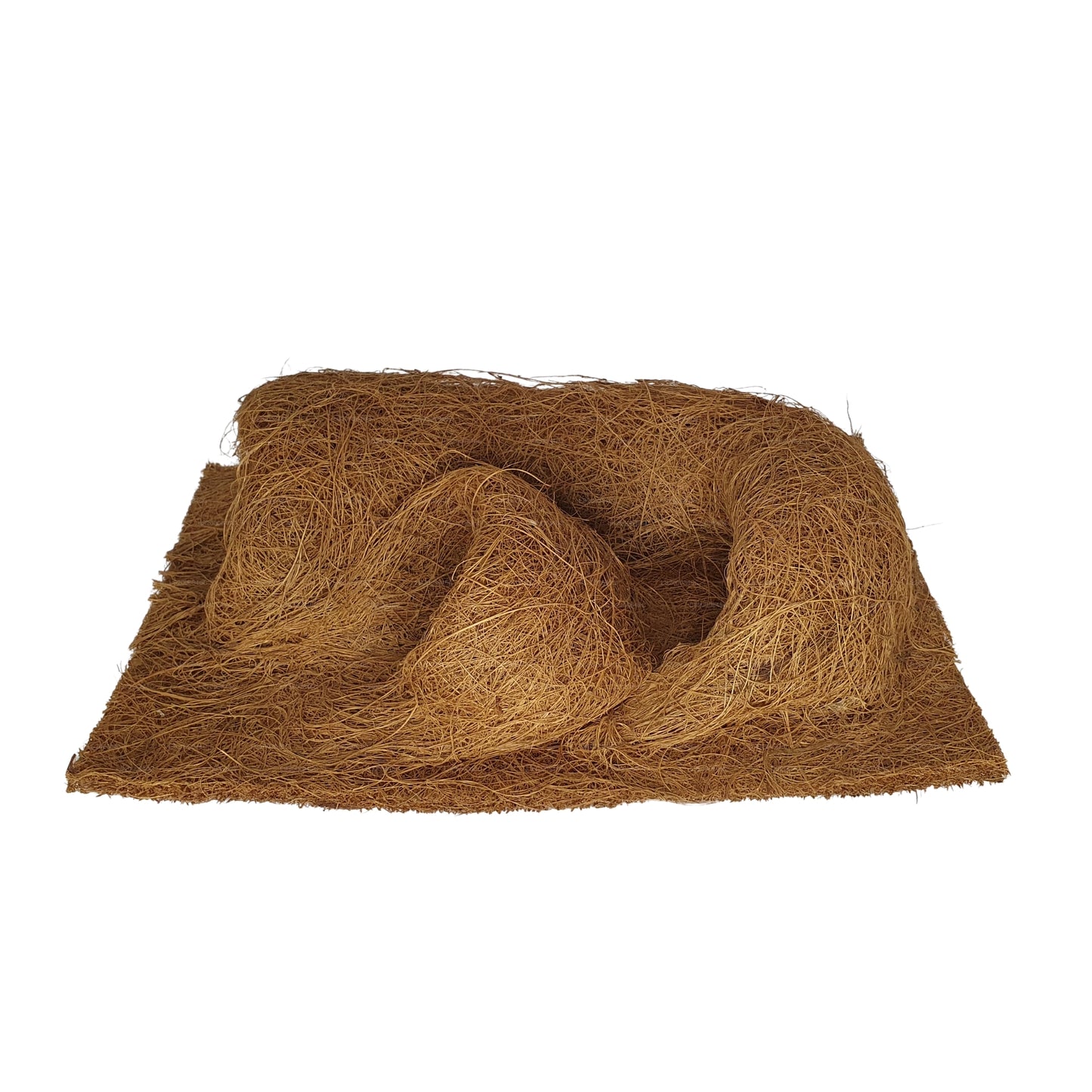 Sfondo naturale per piantagione di cocco Bivenro (20 cm x 30 cm)