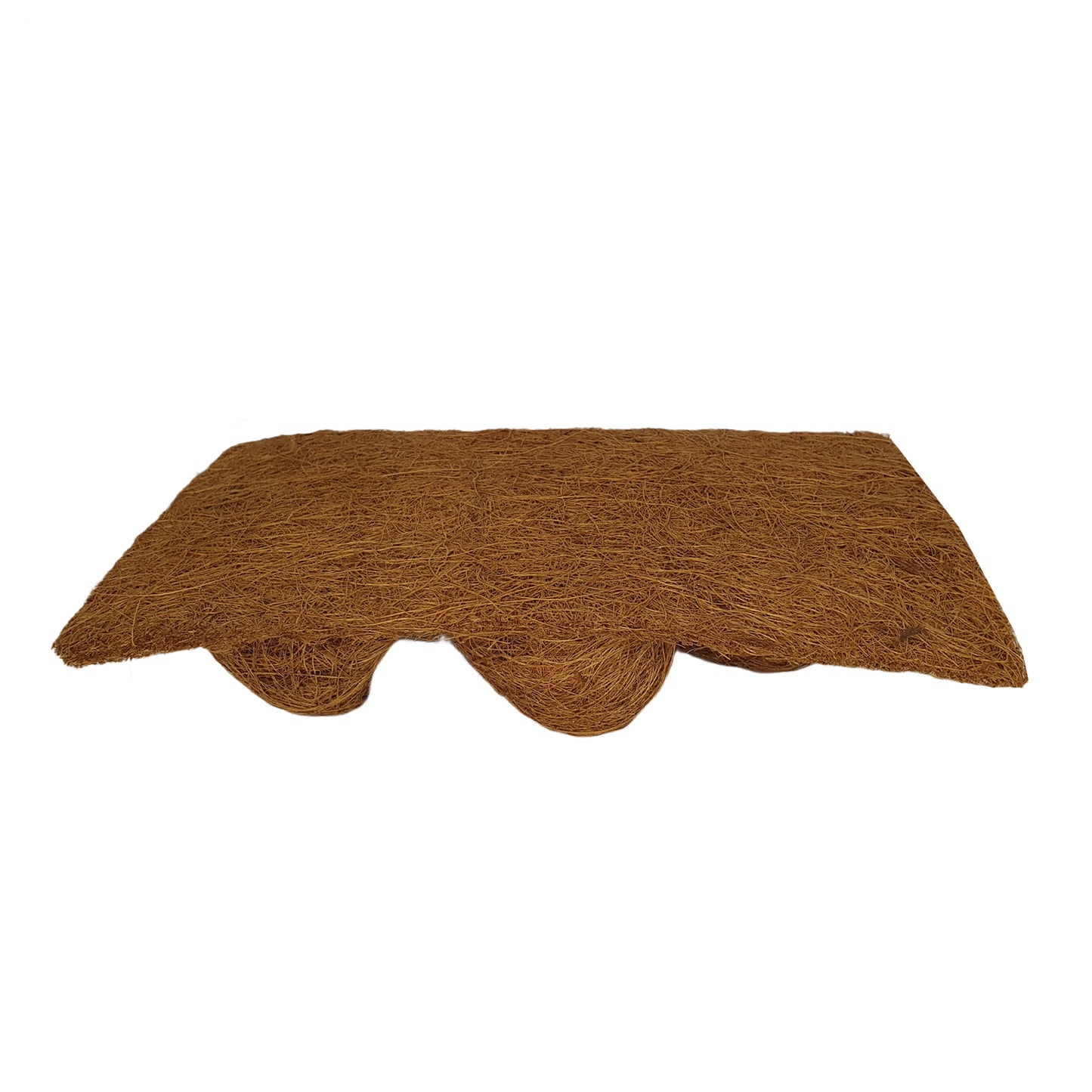 Sfondo naturale per piantagione di cocco Bivenro (20 cm x 30 cm)