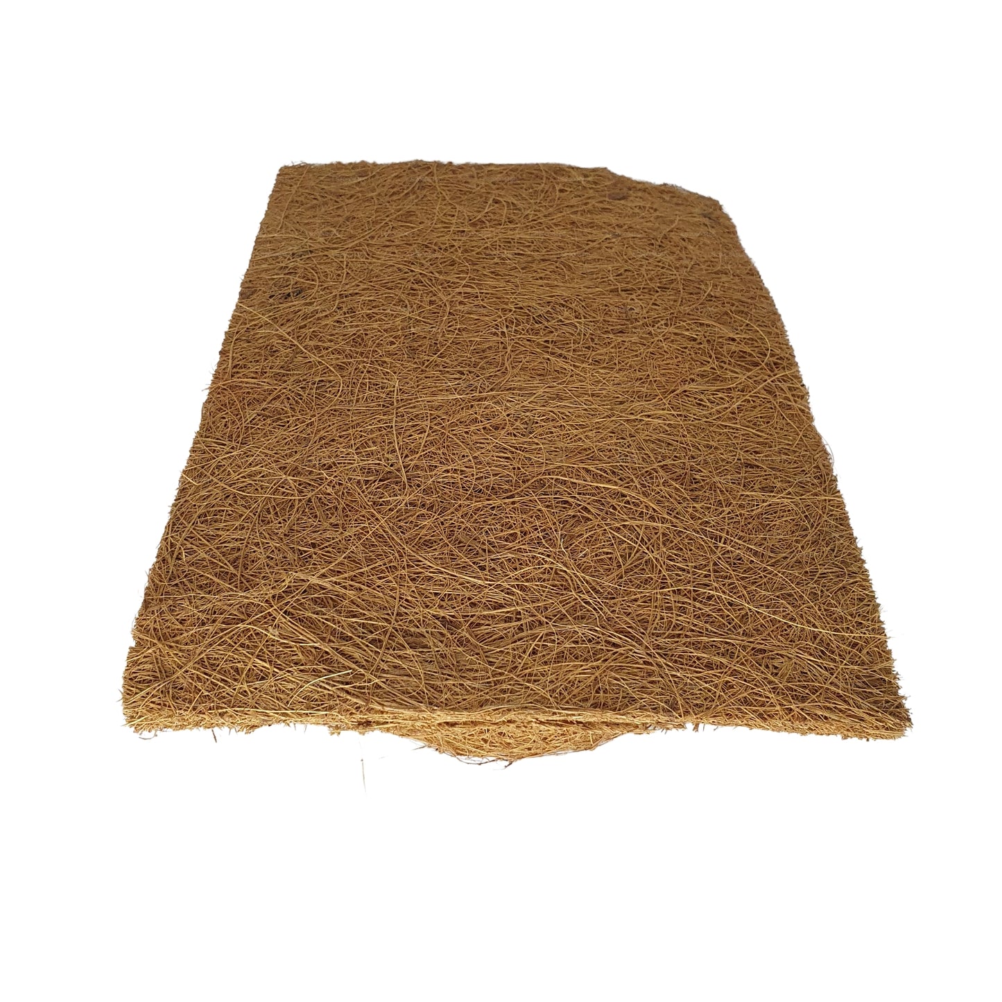 Sfondo naturale per piantagione di cocco Bivenro (20 cm x 30 cm)