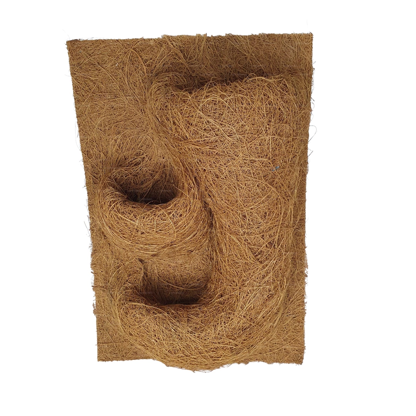 Sfondo naturale per piantagione di cocco Bivenro (20 cm x 30 cm)