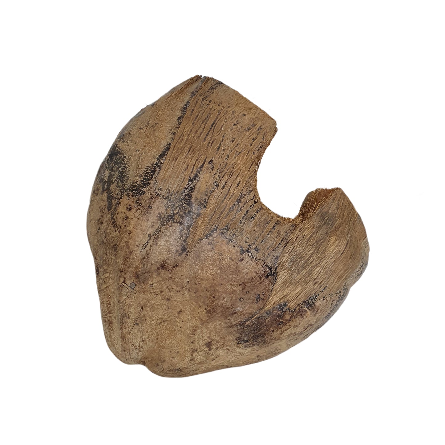 Bivenro Natural 3/4 Cocoa Hideout con design Husk (formato unico)