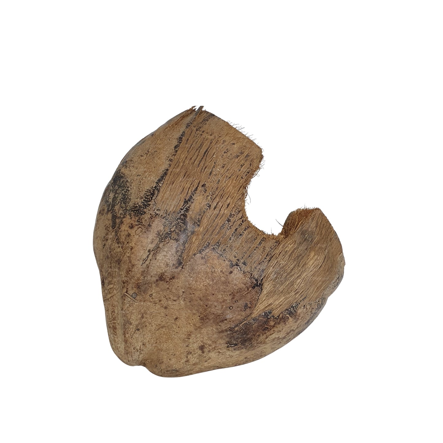 Bivenro Natural 3/4 Cocoa Hideout con design Husk (formato unico)