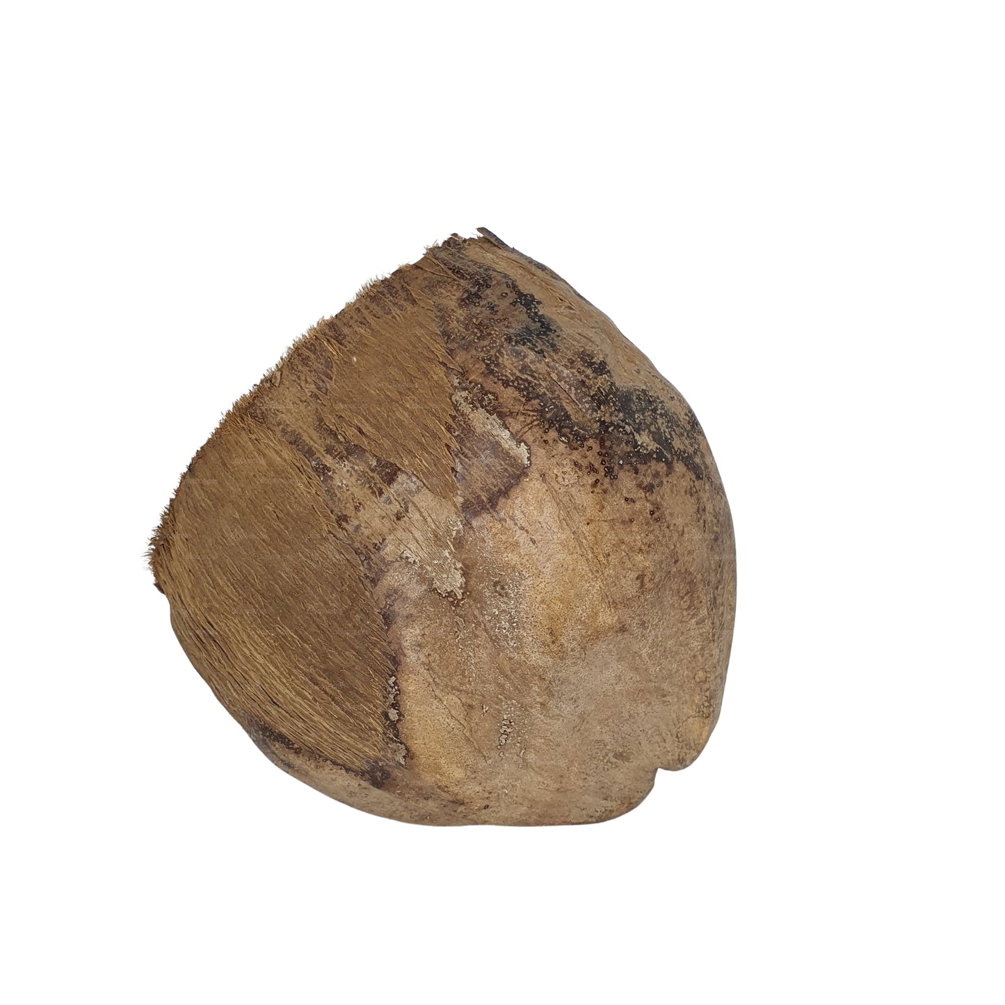 Bivenro Natural 3/4 Cocoa Hideout con design Husk (formato unico)