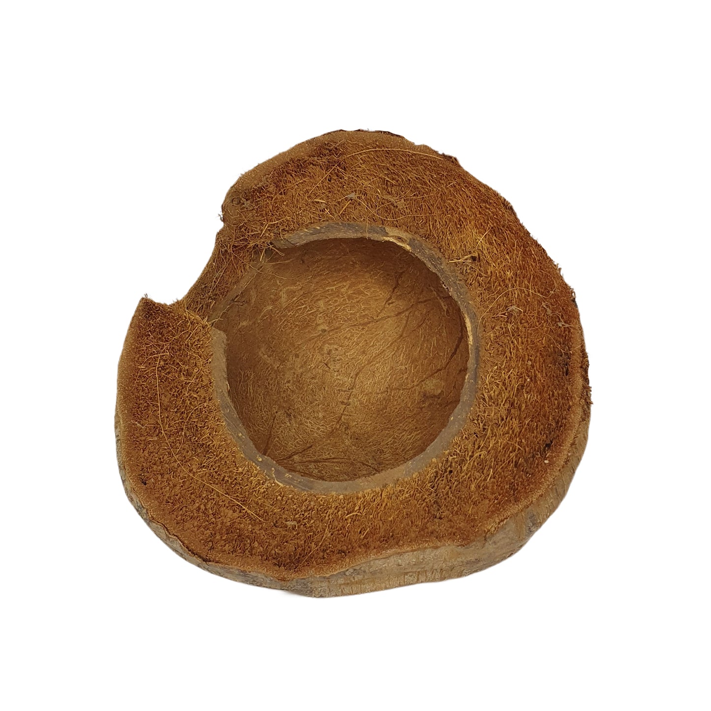 Bivenro Natural 3/4 Cocoa Hideout con design Husk (formato unico)