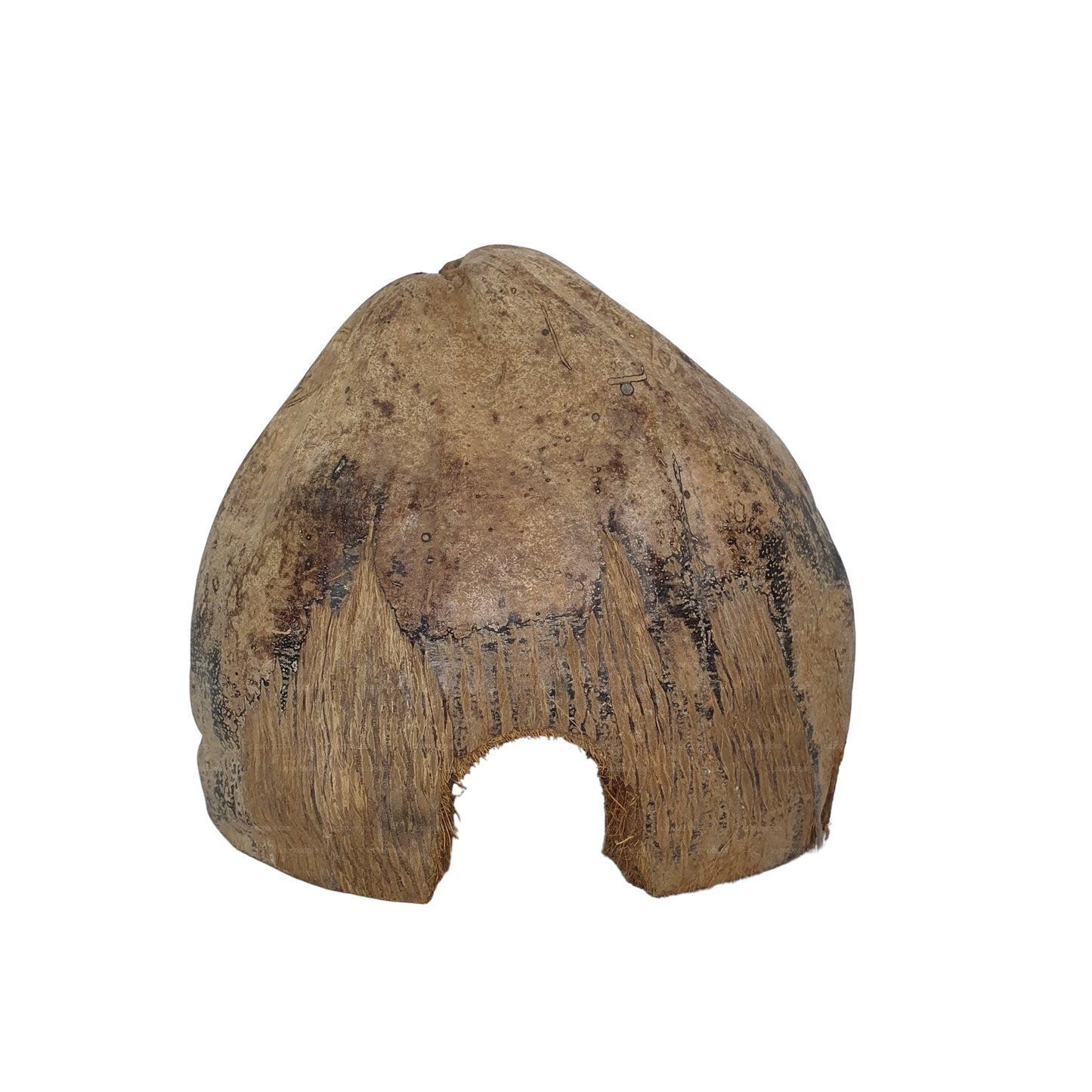 Bivenro Natural 3/4 Cocoa Hideout con design Husk (formato unico)